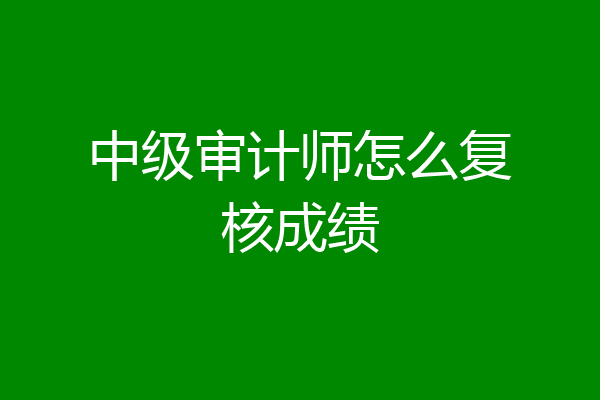 中级审计师怎么复核成绩