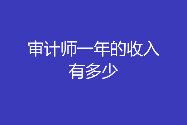 审计师一年的收入有多少