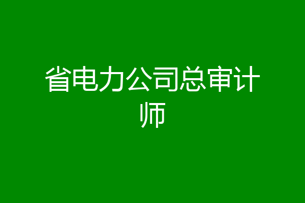 省电力公司总审计师