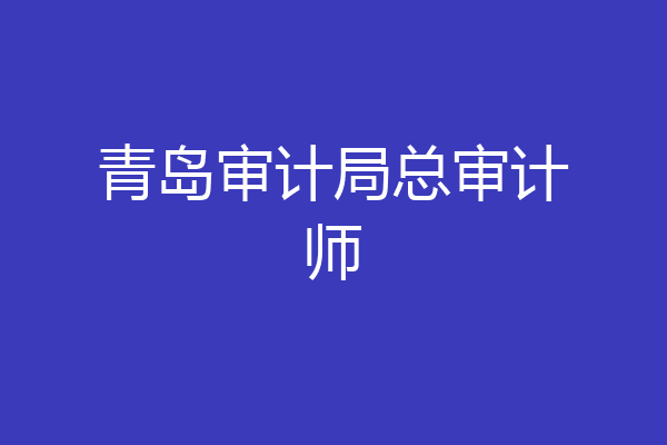 青岛审计局总审计师