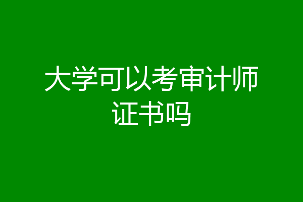 大学可以考审计师证书吗