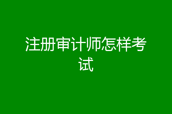 注册审计师怎样考试