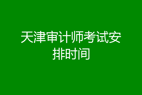 天津审计师考试安排时间