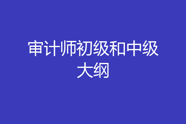 审计师初级和中级大纲