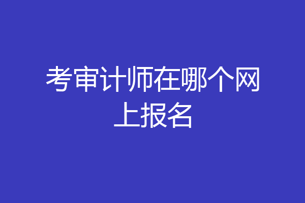 考审计师在哪个网上报名