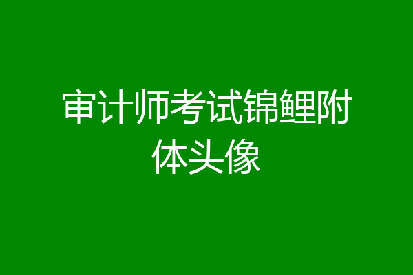 审计师考试锦鲤附体头像