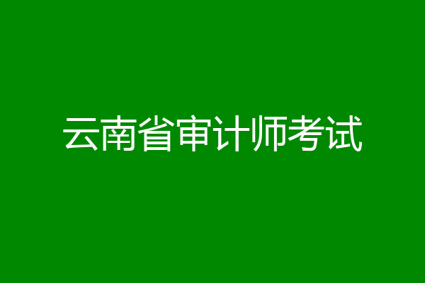 云南省审计师考试