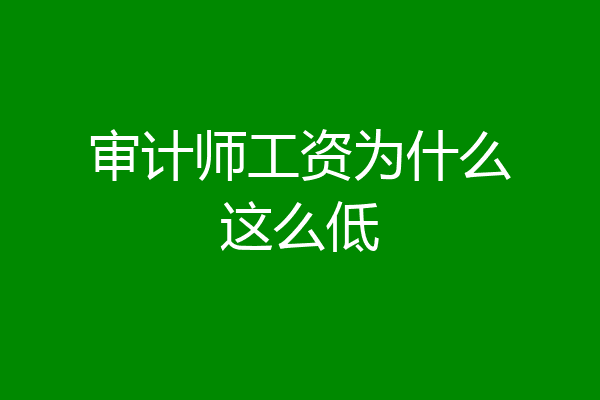 审计师工资为什么这么低