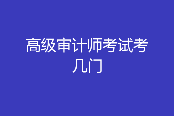 高级审计师考试考几门