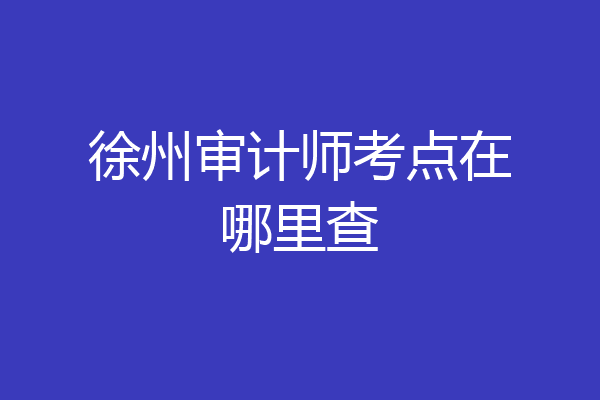 徐州审计师考点在哪里查