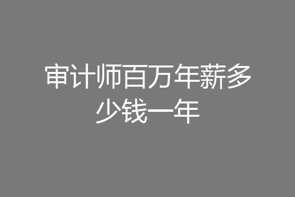 审计师百万年薪多少钱一年