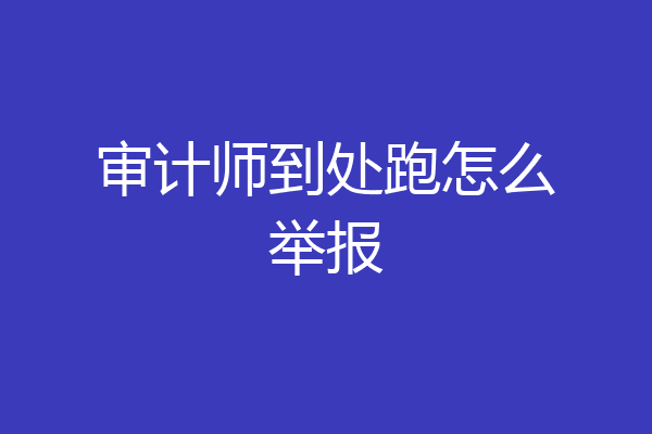审计师到处跑怎么举报