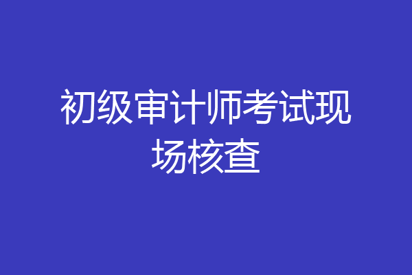 初级审计师考试现场核查