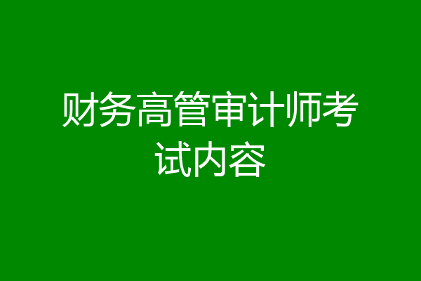 财务高管审计师考试内容