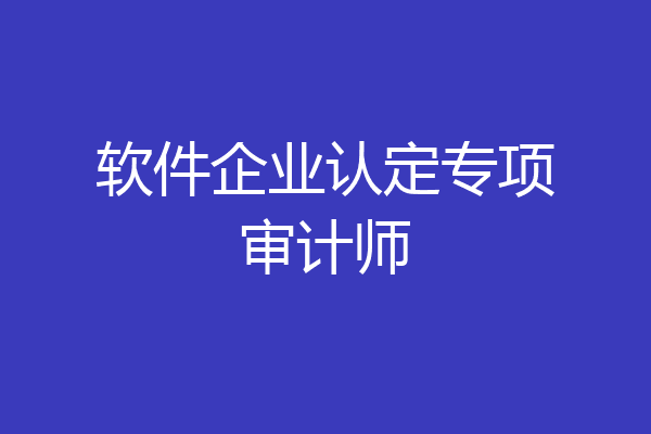 软件企业认定专项审计师