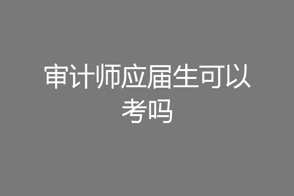 审计师应届生可以考吗