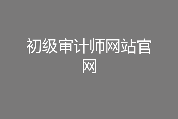 初级审计师网站官网