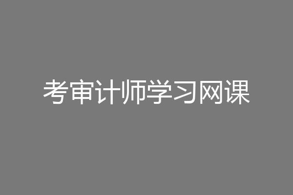 考审计师学习网课