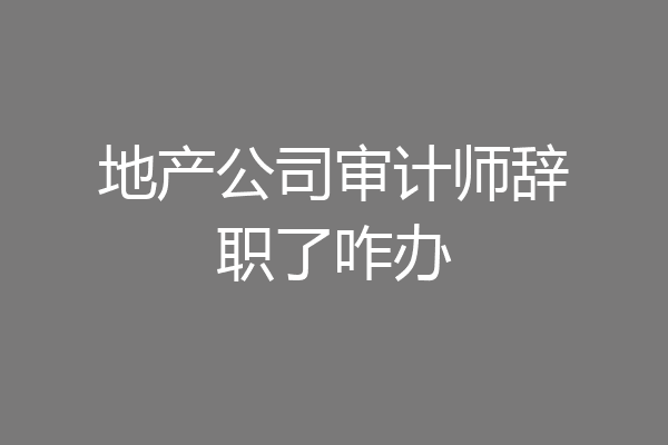 地产公司审计师辞职了咋办
