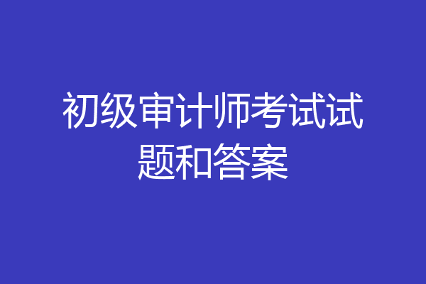 初级审计师考试试题和答案