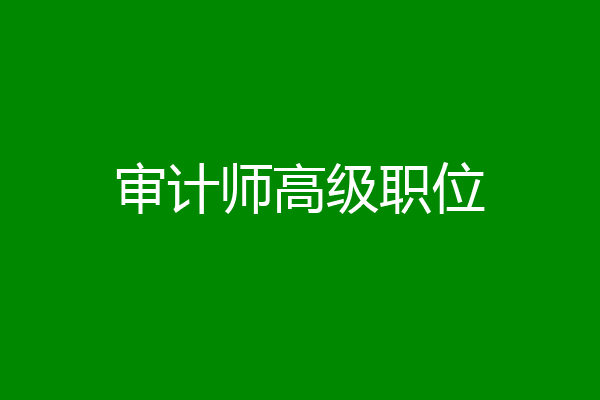 审计师高级职位