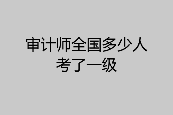 审计师全国多少人考了一级