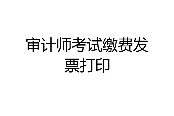 审计师考试缴费发票打印