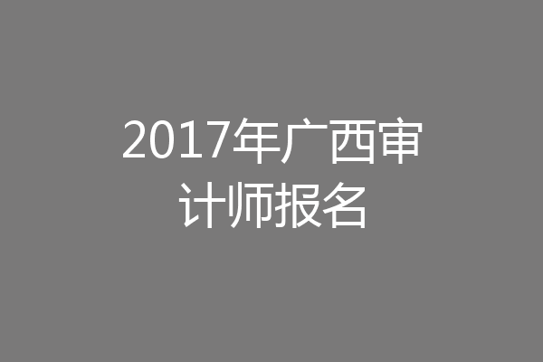 2017年广西审计师报名
