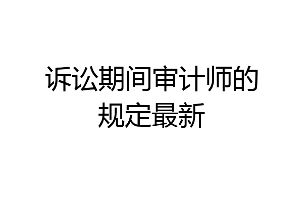 诉讼期间审计师的规定最新