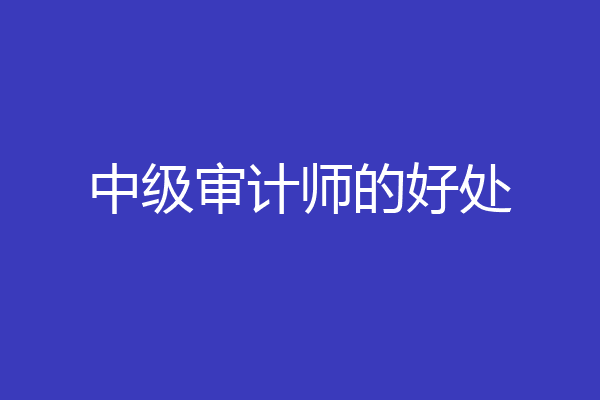 中级审计师的好处