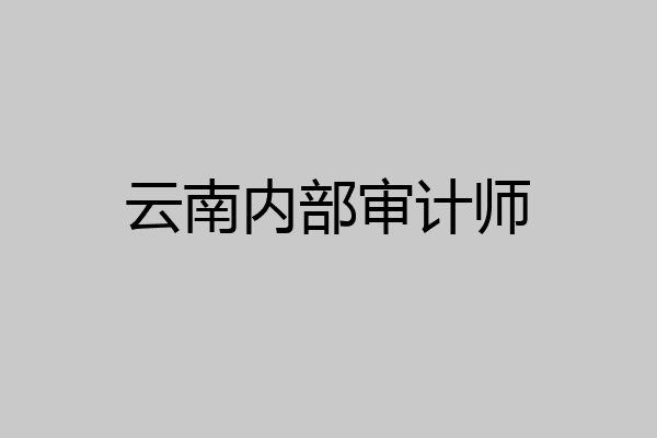 云南内部审计师