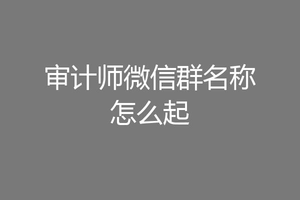 审计师微信群名称怎么起
