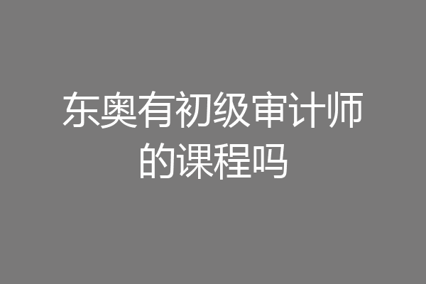 东奥有初级审计师的课程吗