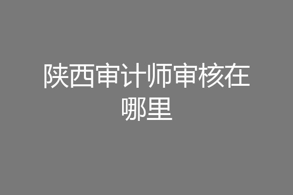 陕西审计师审核在哪里