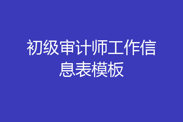 初级审计师工作信息表模板