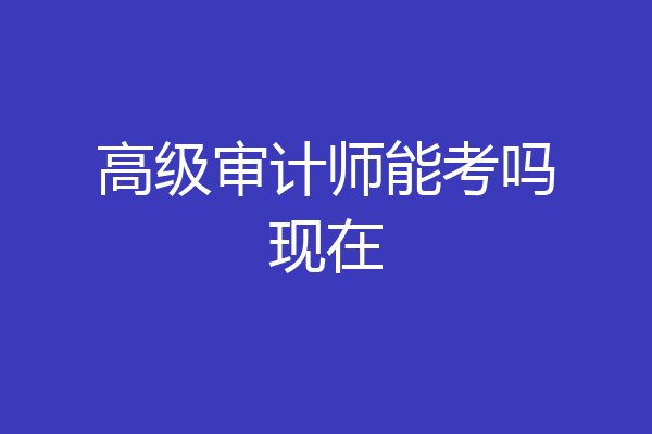 高级审计师能考吗现在
