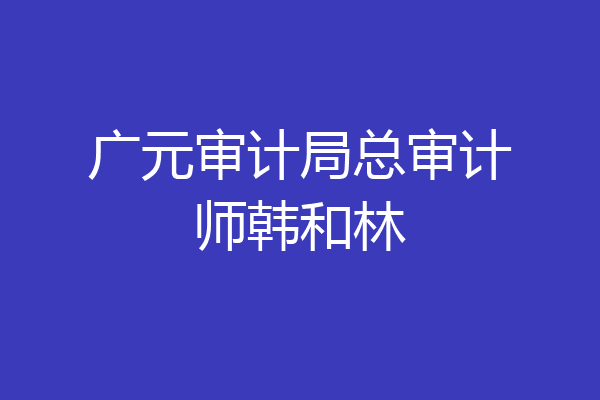 广元审计局总审计师韩和林