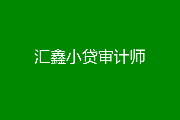 汇鑫小贷审计师