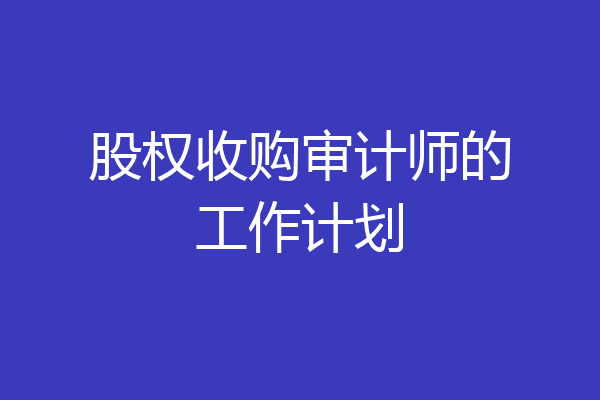 股权收购审计师的工作计划