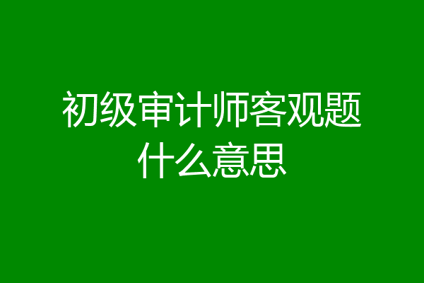 初级审计师客观题什么意思