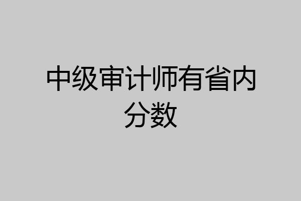 中级审计师有省内分数