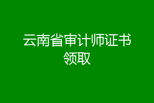 云南省审计师证书领取