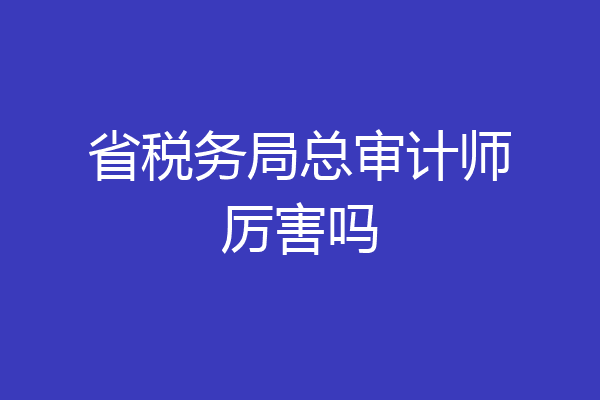 省税务局总审计师厉害吗