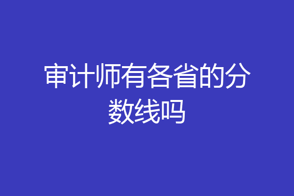 审计师有各省的分数线吗