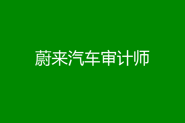 蔚来汽车审计师