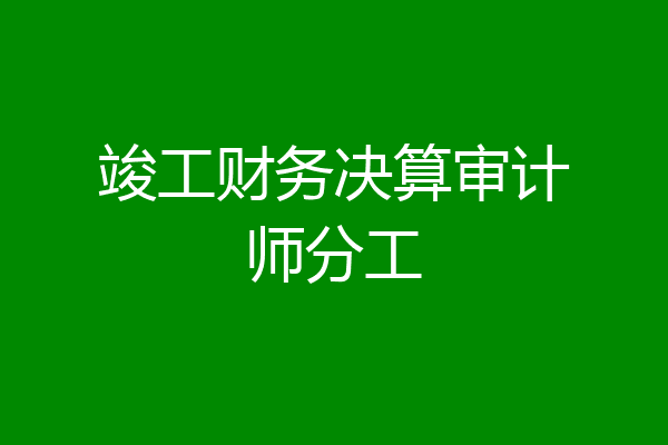 竣工财务决算审计师分工
