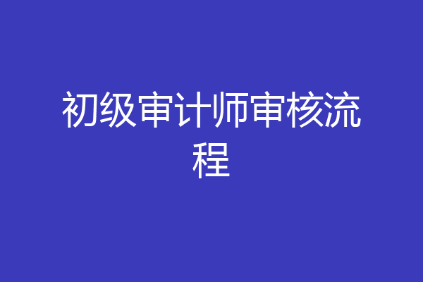 初级审计师审核流程