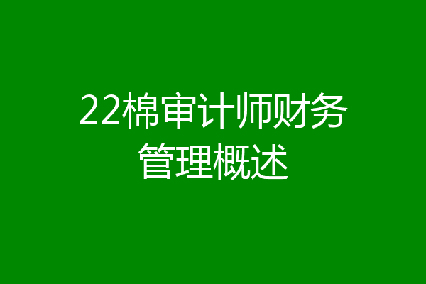 22棉审计师财务管理概述