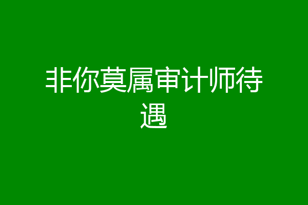 非你莫属审计师待遇