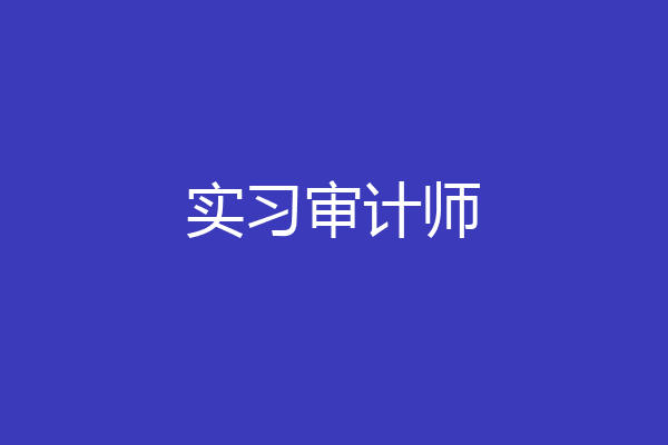 实习审计师